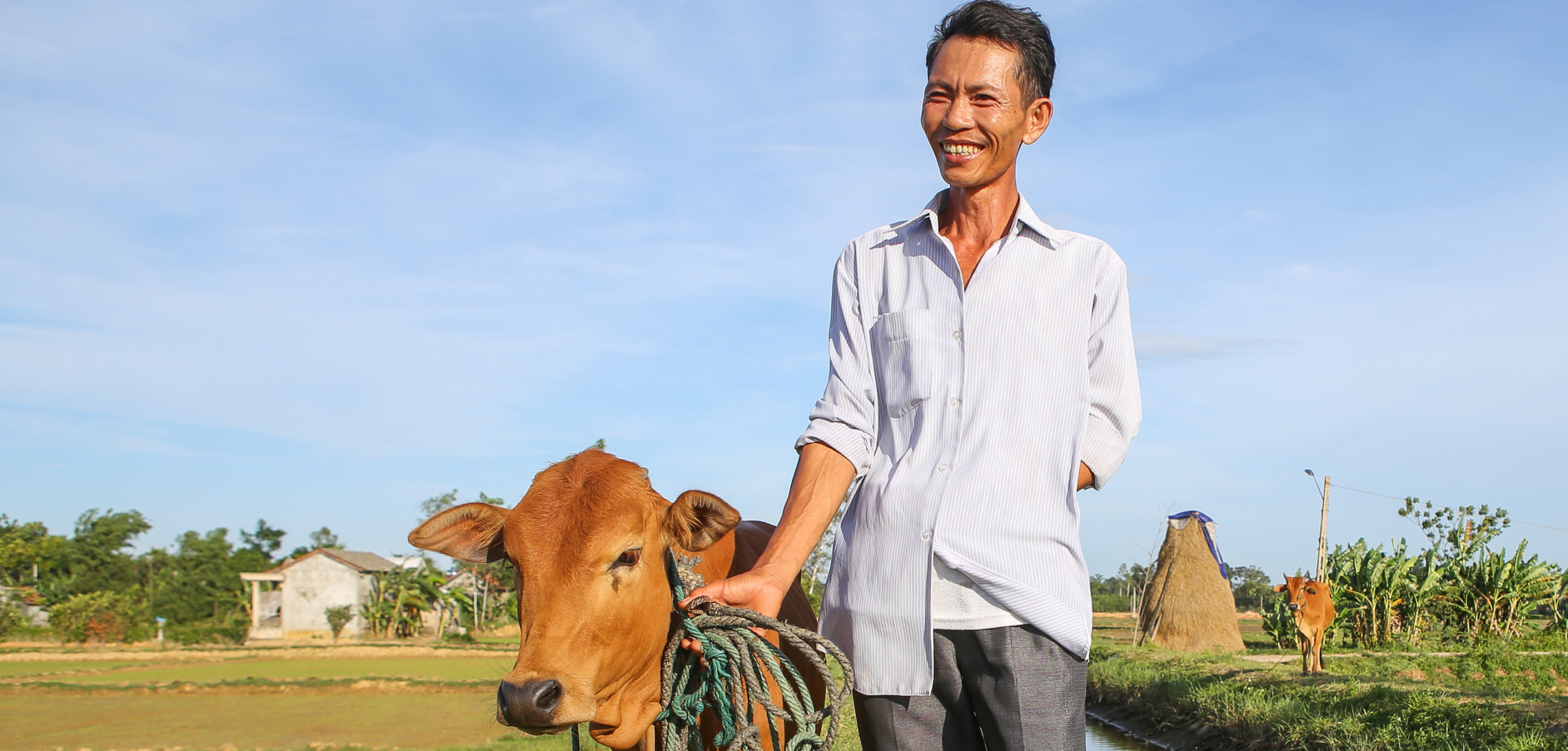 Gift a Cow to help a family